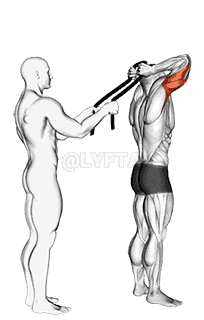 Assisted Standing Triceps Extension demonstration