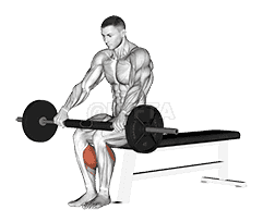 undefined demonstration