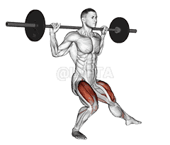 Barbell Side Split Squat demonstration