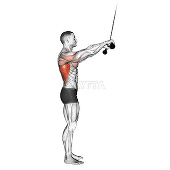 undefined demonstration