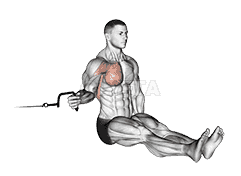 Cable Seated Shoulder Internal Rotation demonstration