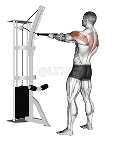 undefined demonstration