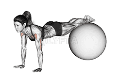 undefined demonstration