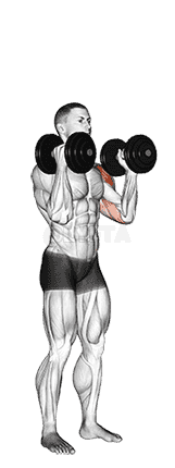 undefined demonstration