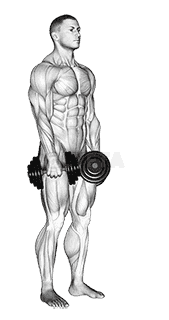 undefined demonstration