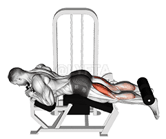 undefined demonstration