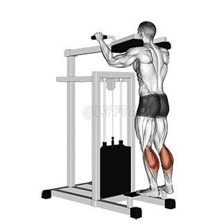 Lever Standing Calf Raise demonstration