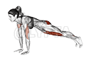 Lunge Push-up demonstration