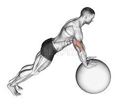 undefined demonstration