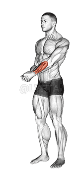 undefined demonstration