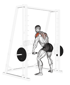 Smith Rear Delt Row demonstration