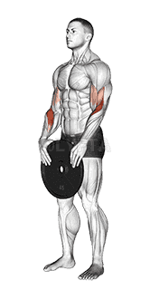 Weighted Standing Curl demonstration