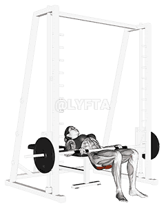 Smith lying lift demonstration