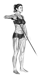 Band Upright Shoulder External Rotation demonstration
