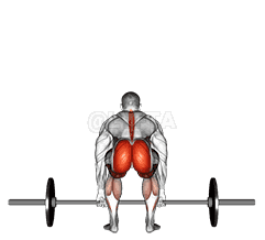 undefined demonstration