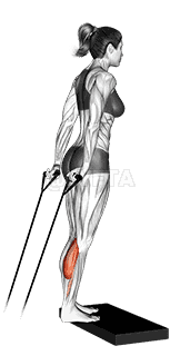 undefined demonstration