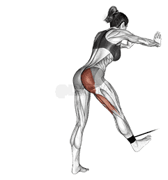 undefined demonstration