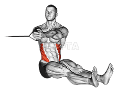Band seated twist demonstration