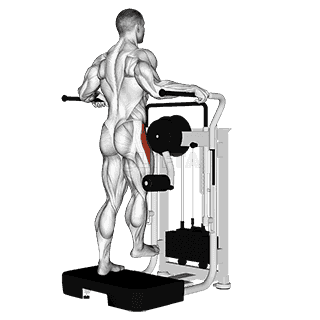 Lever Side Hip Abduction demonstration