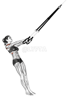 Suspension Y Lateral Raise demonstration