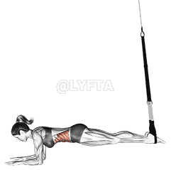 Suspension Crunch demonstration