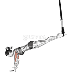 Suspension Incline Push-up demonstration
