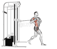 undefined demonstration