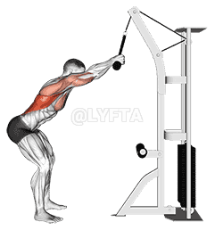 undefined demonstration