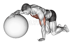 undefined demonstration