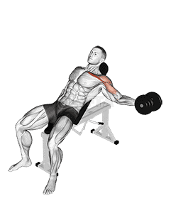 Dumbbell Incline One Arm Fly demonstration