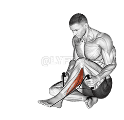Peroneals Stretch demonstration
