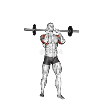 Standing Close Grip Military Press demonstration
