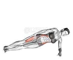 Lateral Side Plank demonstration