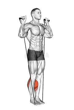 Band Calf Raise demonstration