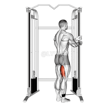 Standing Leg Curl demonstration
