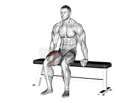 undefined demonstration