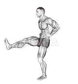 Front Back Leg Raises demonstration