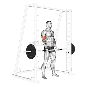 Smith Machine Bicep Curl demonstration