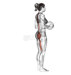 Medicine Ball Single Leg Deadlift demonstration