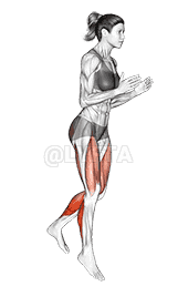 Forward Hops demonstration