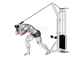 undefined demonstration