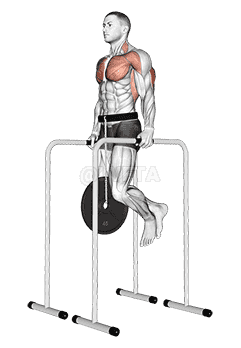 undefined demonstration