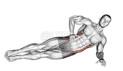 Side Bridge Hip Abduction demonstration