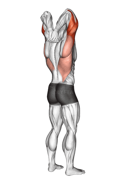 Reaching Down Triceps Stretch demonstration