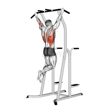 Wide Grip Pull-Up on Dip Cage demonstration