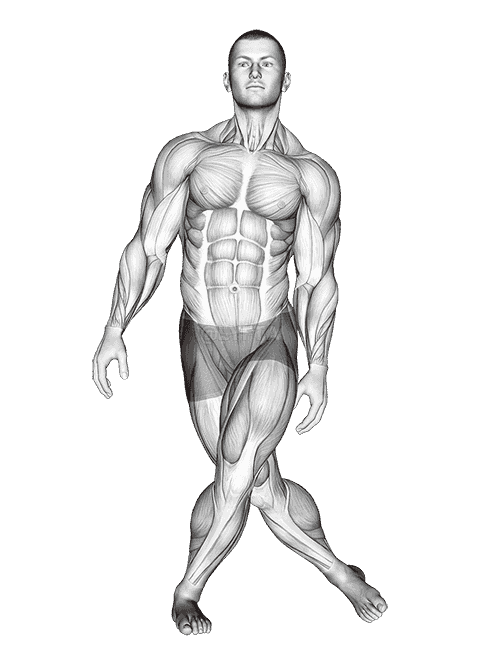 Standing Leg Cross Abductor Stretch demonstration