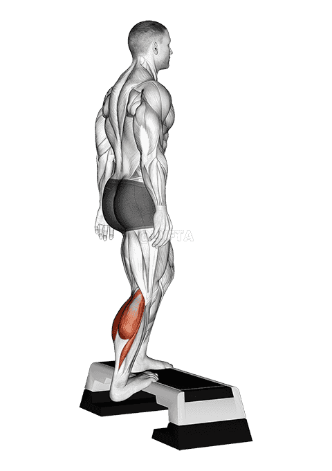 undefined demonstration