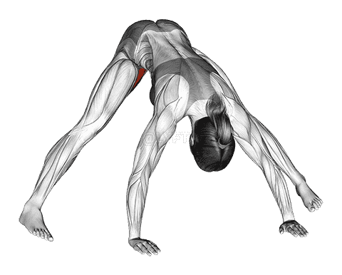 Standing Wide Leg Adductor Stretch demonstration