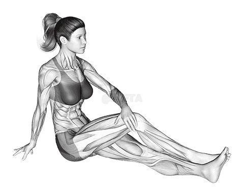 Seated Hip Stretch With Slightly Bent Leg demonstration