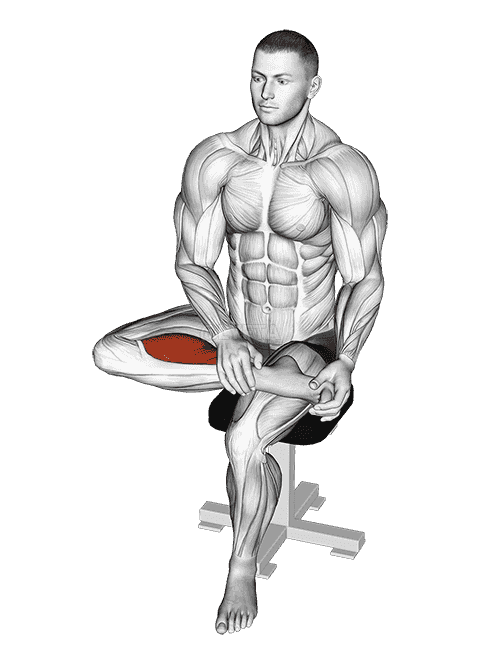 Seated Toe Flexor Stretch demonstration